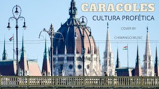Caracoles - Cultura Profética (cover by MáRTON)