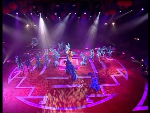 קונג פו פסטיגל עמית פרקש 