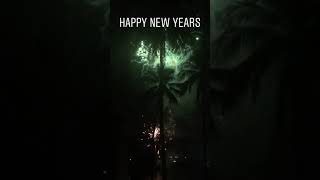 New Year Salut 2019