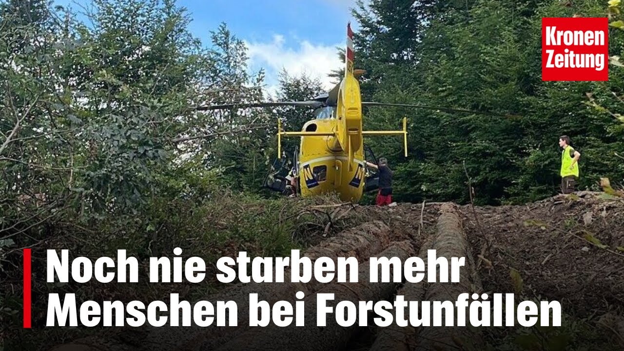 Noch nie starben mehr Menschen bei Forstunfällen | krone.tv NEWS