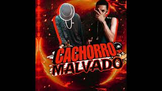 BANDIDO CACHORRO MALVADO - MAGOH LIMPEZA,ÉO NEM A MAIS DE BALA #funk #bregafunk #funkbrasil #musica