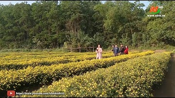 Hiệu quả phát triển hợp tác xã