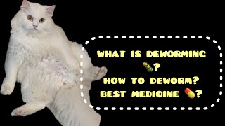 Cat Deworming || best medicine for deworming || How to Deworm by leoko vlog 94 views 4 weeks ago 4 minutes, 48 seconds