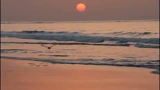 MENTAHAN PEMANDANGAN SENJA DI PANTAI #storywa #fyp #mentahan
