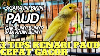 Ternyata seMUDAH ini BIKIN KENARI CEPAT BUNYI❗️CARA PERAWATAN BURUNG KENARI PAUD SUPAYA CEPAT GACOR