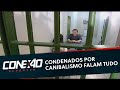 Canibais de Pernambuco conversam com Cabrini sobre crimes que chocaram o Brasil | Conexão Repórter