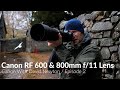 Canon RF 600 & 800mm f11 IS USM / Canon With David Newton / Episode 2