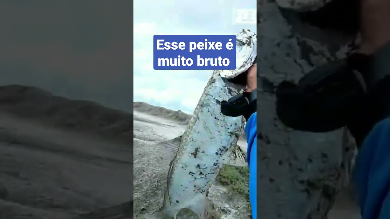 pescaria com isca artificial camurupin 