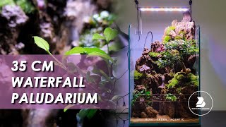 #76 - PALUDARIUM 35CM | SET UP