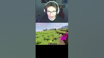 This Minecraft Mod is INSANE!! #minecraft #funny #gaming #minecraftshorts #fyp