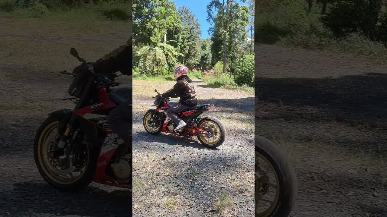 LONG SWING ARM 150Fi 