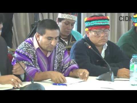 Institucionalidad de pueblos indígenas y afrodescendientes en Perú