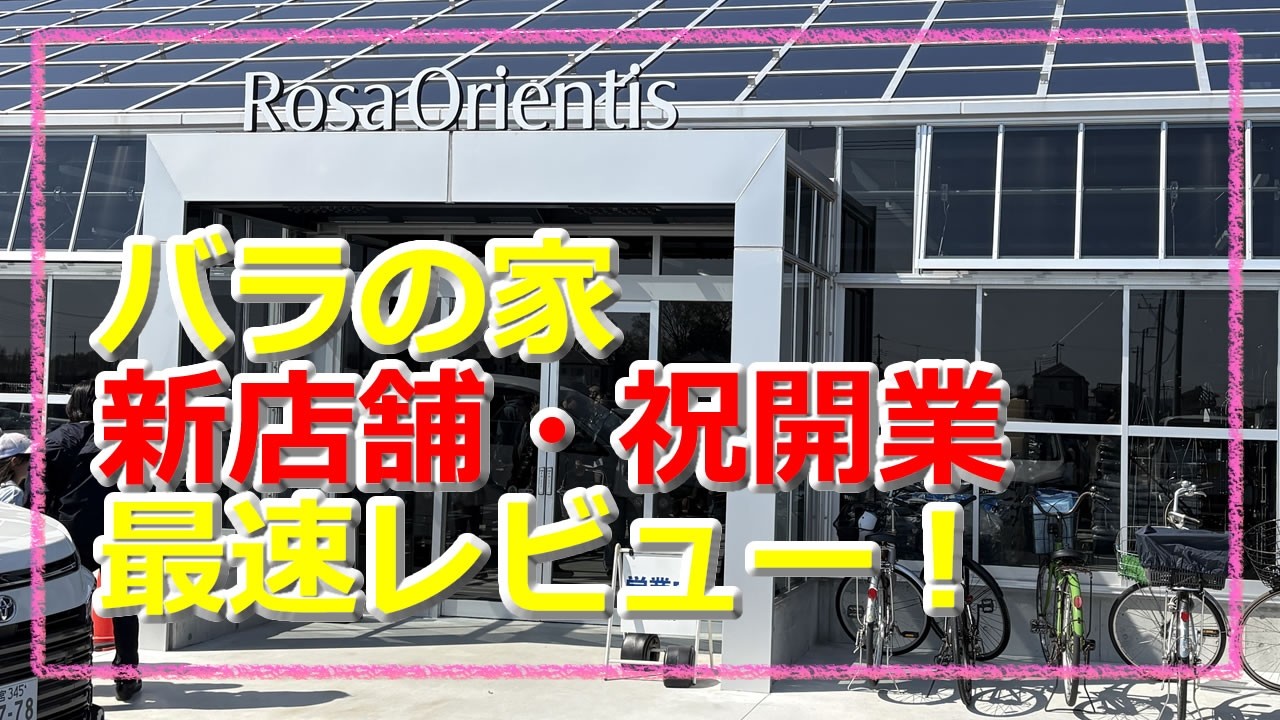 Congratulations on the grand opening! The fastest review of the