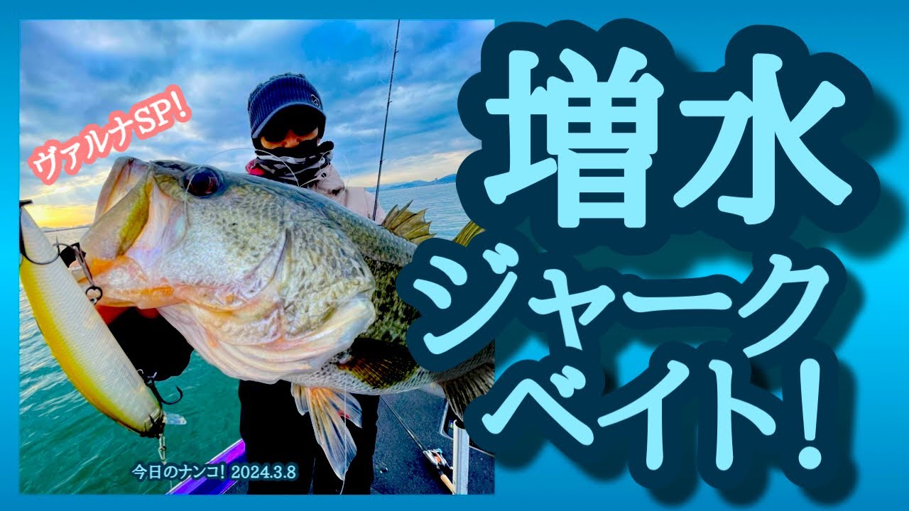 バス釣り 今日のナンコ！2024.3.8】増水ジャークベイト！【琵琶湖バス釣り