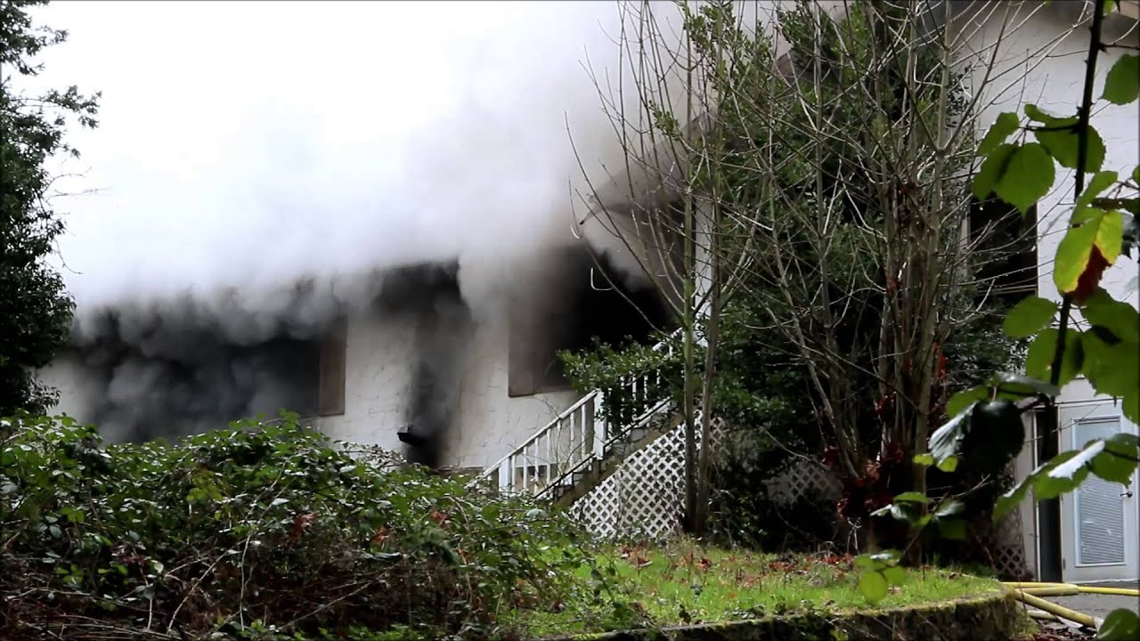 Five Pets Killed in Saanich House Fire - YouTube