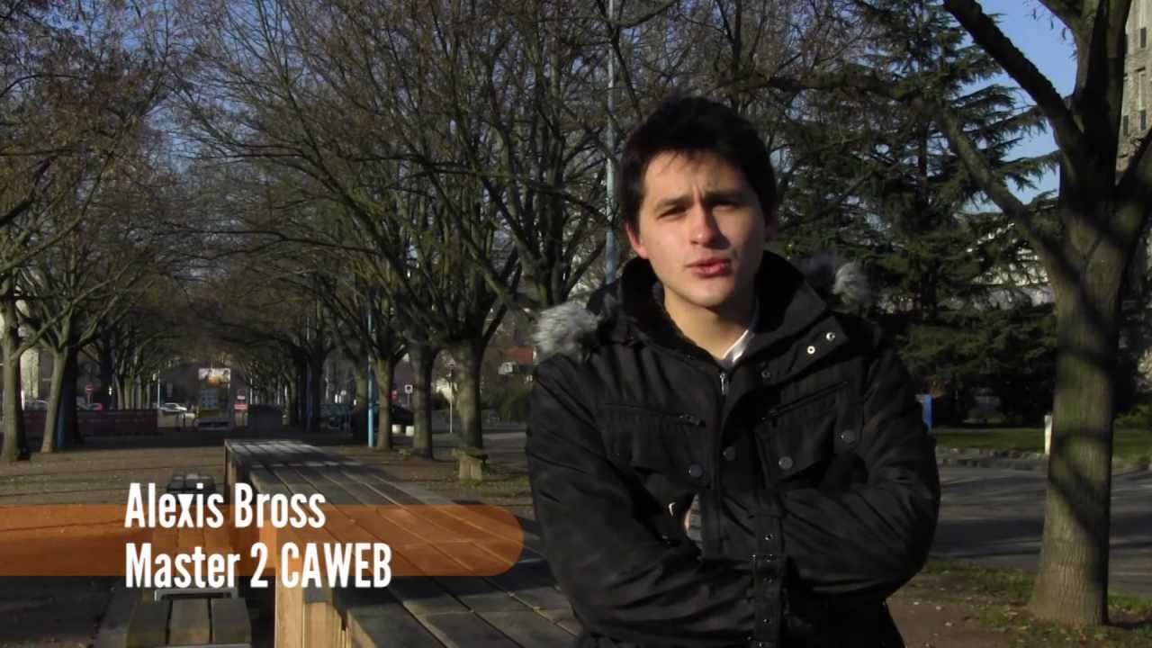 Localisation d'images, différences culturelles et exemples de solutions