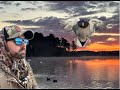 Thats how it goes nc duck hunt and scout  open water mallards