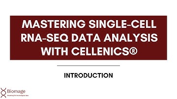 Biomage courses – Introducing “Mastering Single Cell RNA-seq Data Analysis with Cellenics®”