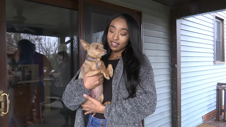 Coyote attack leaves dog injured for second time in less than a year