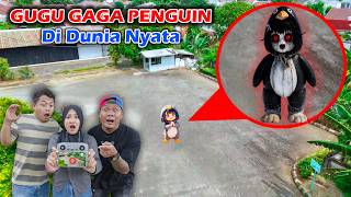 Drone Menangkap GuguGaga Pinguin Asli Di Dunia Nyata