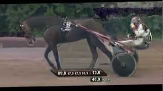 Derby Revanche 2011Lobell Countess 113,6Peter J. Strooper