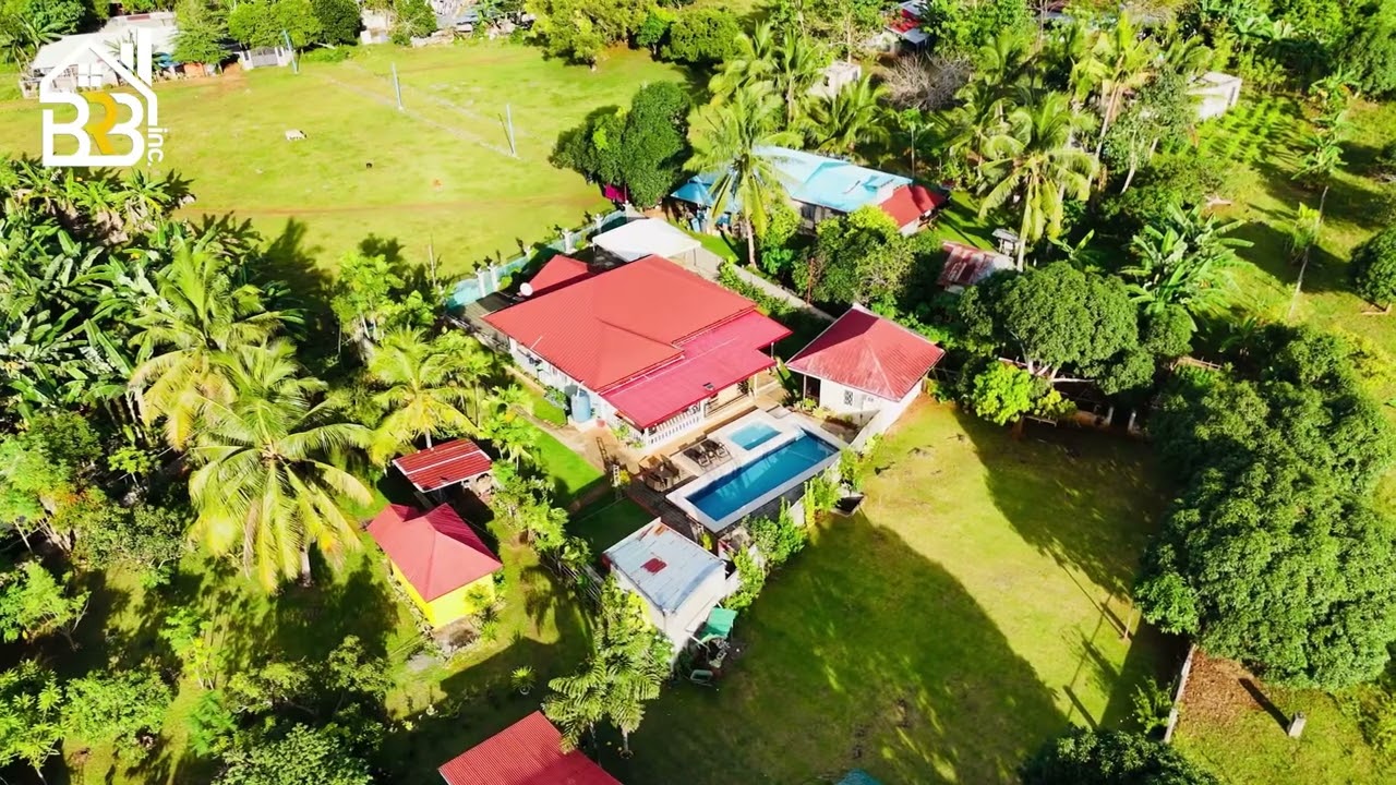 FARM HOUSE FOR SALE FULLY FURNISHED | 4,400 SQM LOT AREA | TITLED | DAUIS PANGLAO ISLAND OF BOHOL
