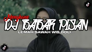 DJ LEMAH SAWAH WIS TAK DOLI || BABAR PISAN - Adi Fajar