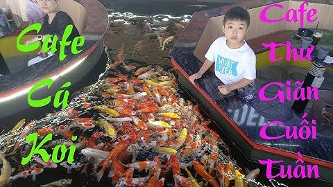 Cafe Cá Koi tại Cần Thơ I Thêm một địa chỉ quán thư giãn cho gia đình ngày cuối tuần..!
