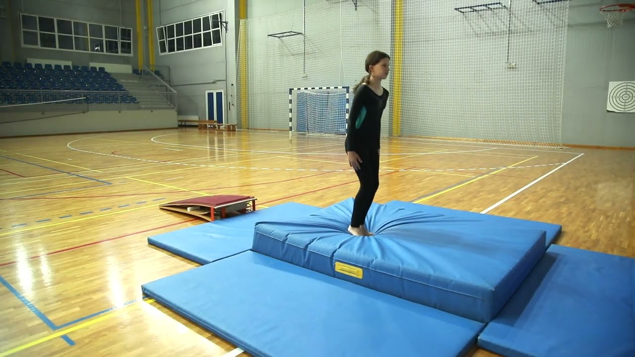 ALFA Priručnik TZK   Skok u daljinu iz zaleta