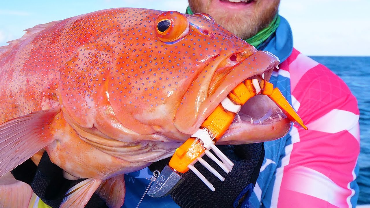 Fishing new colour soft plastics for reef fish YouTube