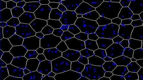 Grain growth in presence of highly mobile second phase particles