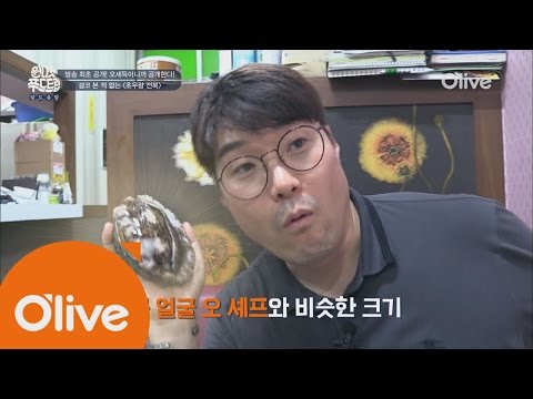 one night food trip [제주] 이렇게나 큰 전복? 이렇게나 큰 보말? 160803 EP.19