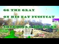 Green Gooner the Elder Wizard = GG = Shizanara the Grey = New World = Let's go for new content! 2