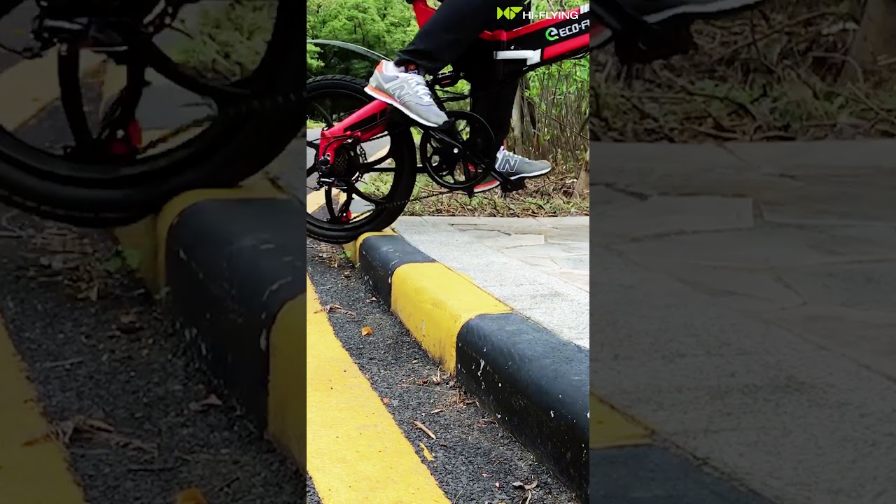 ECO-FLYING electric bike F501