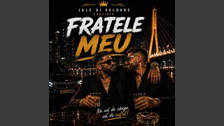 Fratele meu