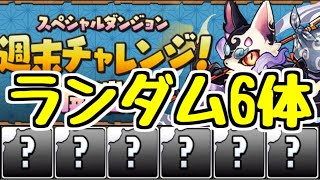 【生放送】ランダム6体編成で異形の存在20分週末チャレンジ！【パズドラ】