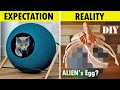 EXPECTATION VS REALITY | DIY Cat cave bed | FAILED !