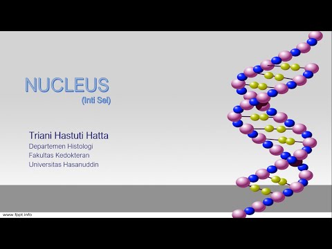 Nukleus (inti sel) - Sitologi