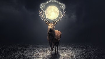 Deer Moon Light Effect Photo Manipulation in Photoshop