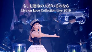 西野カナ『もしも運命の人がいるのなら』Live on 