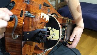 Aequinoctium. Hurdy-Gurdy With Organ chords