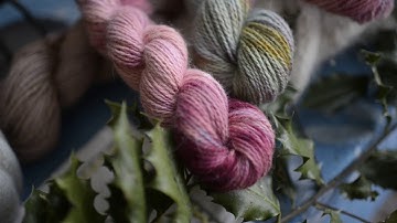 Intro Episode 10 - Recovery and reflection