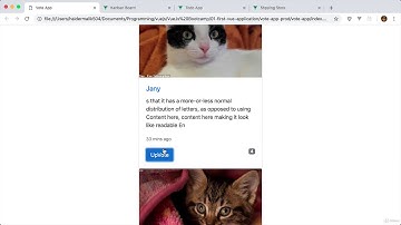 Building Applications with VueJs, Vuex, VueRouter, and Nuxt - learn Vue JS