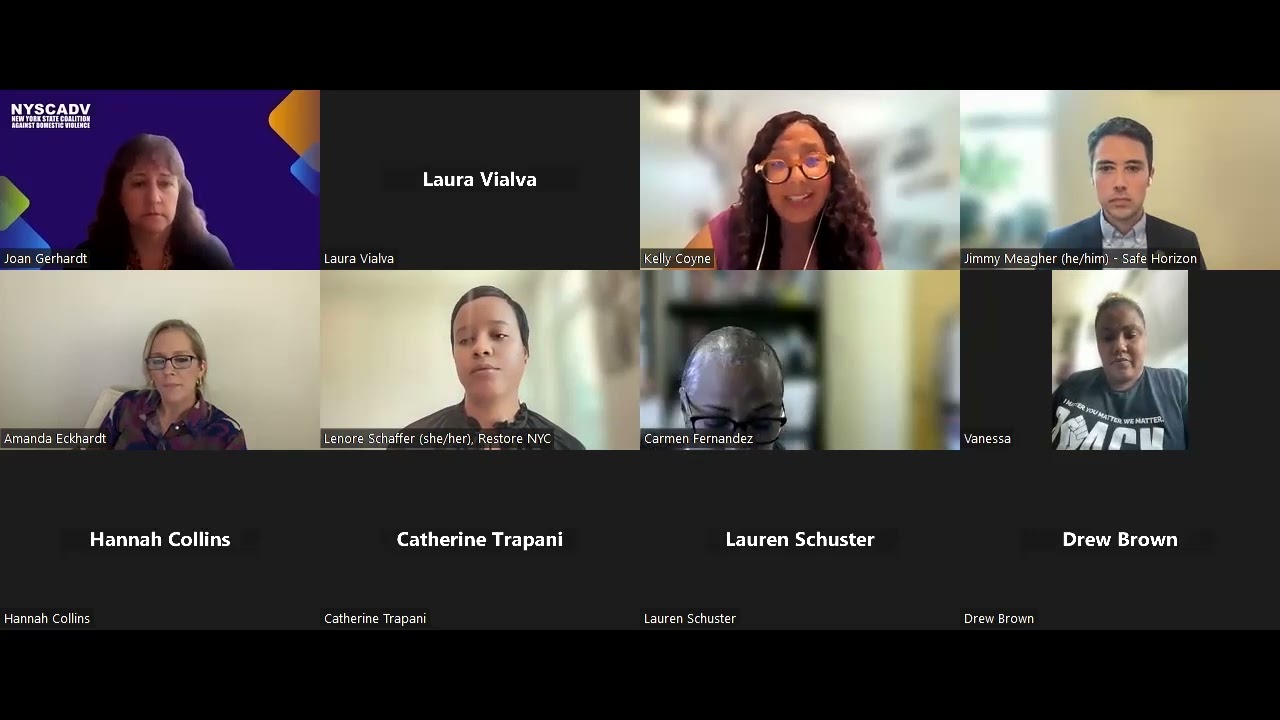 SAFE Shelter Act Virtual Press Conference - June 3, 2024