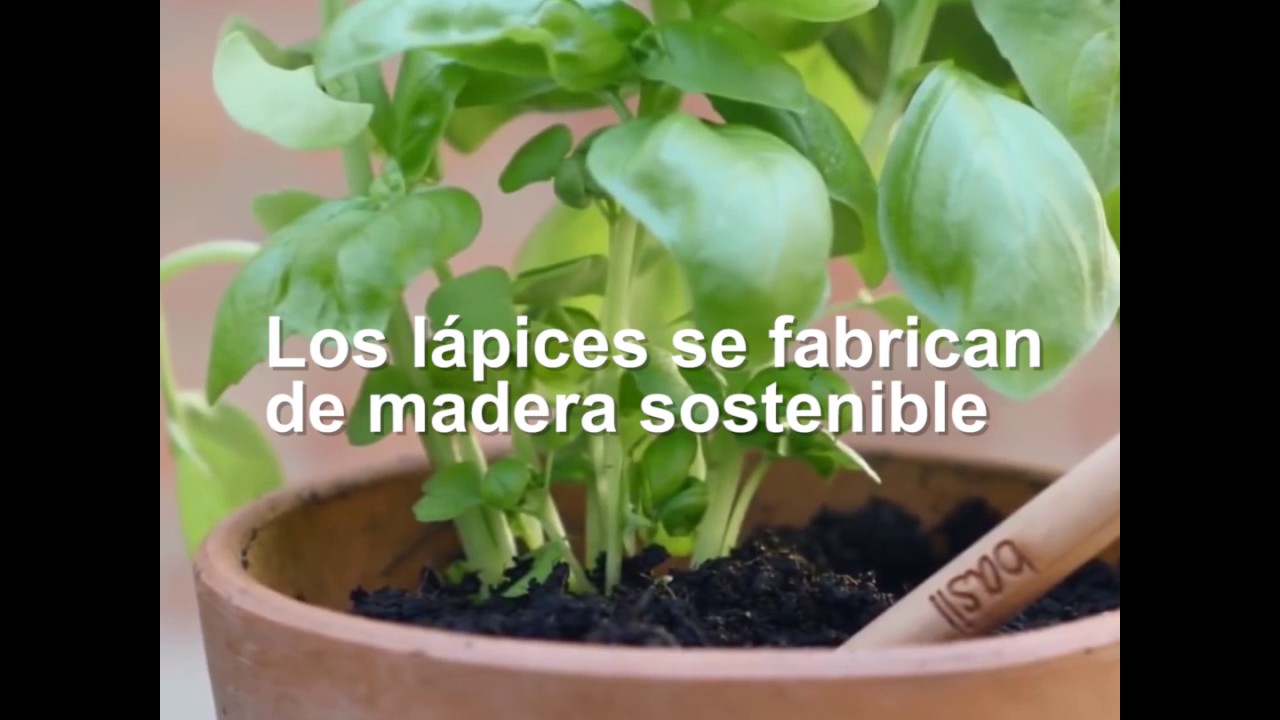 Lápices Sostenibles defensa y justicia