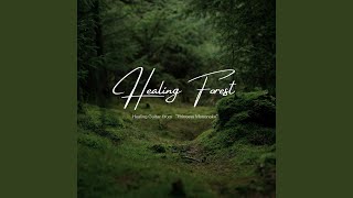 癒しの森 (Cover) - YouTube