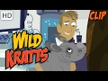Wild Kratts - The Kratts' Creature World Family Clip Compilation (Half Hour)