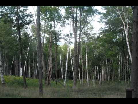 100 Eastman Hill Road, Lebanon, NH home video tour