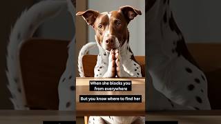 He finds a new way to say sorry #shorts #youtubeshorts #love #dog #cute