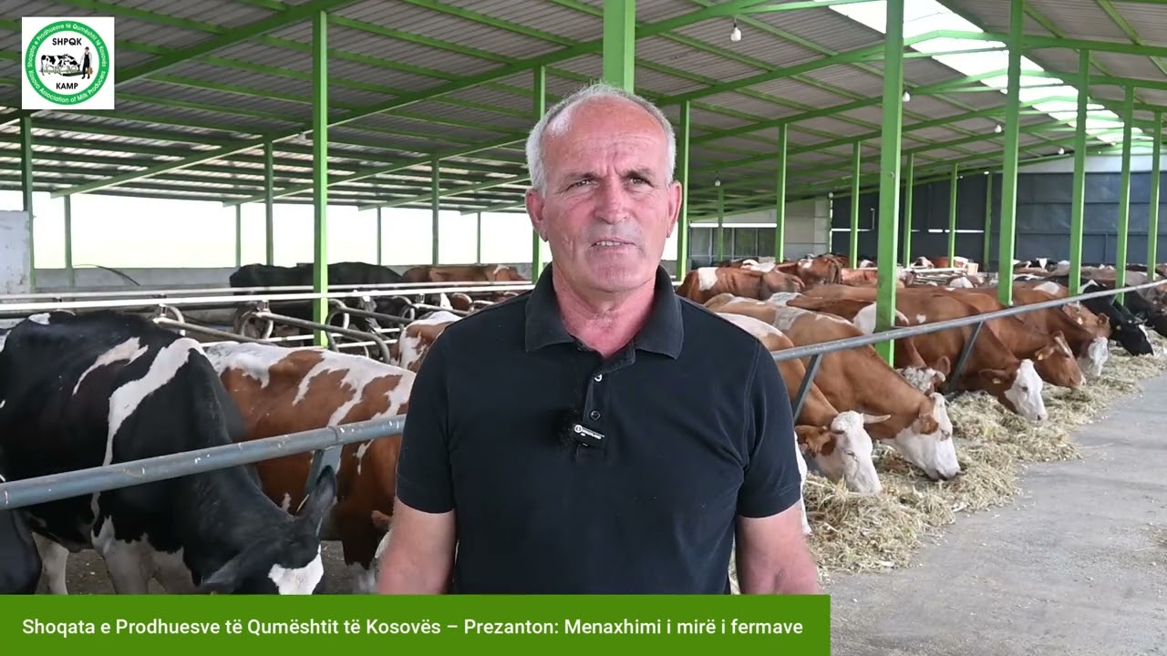 U kthye nga Zvicra në Kosovë: Historia e fermeri të që transformoi fermën moderne në Kosovë